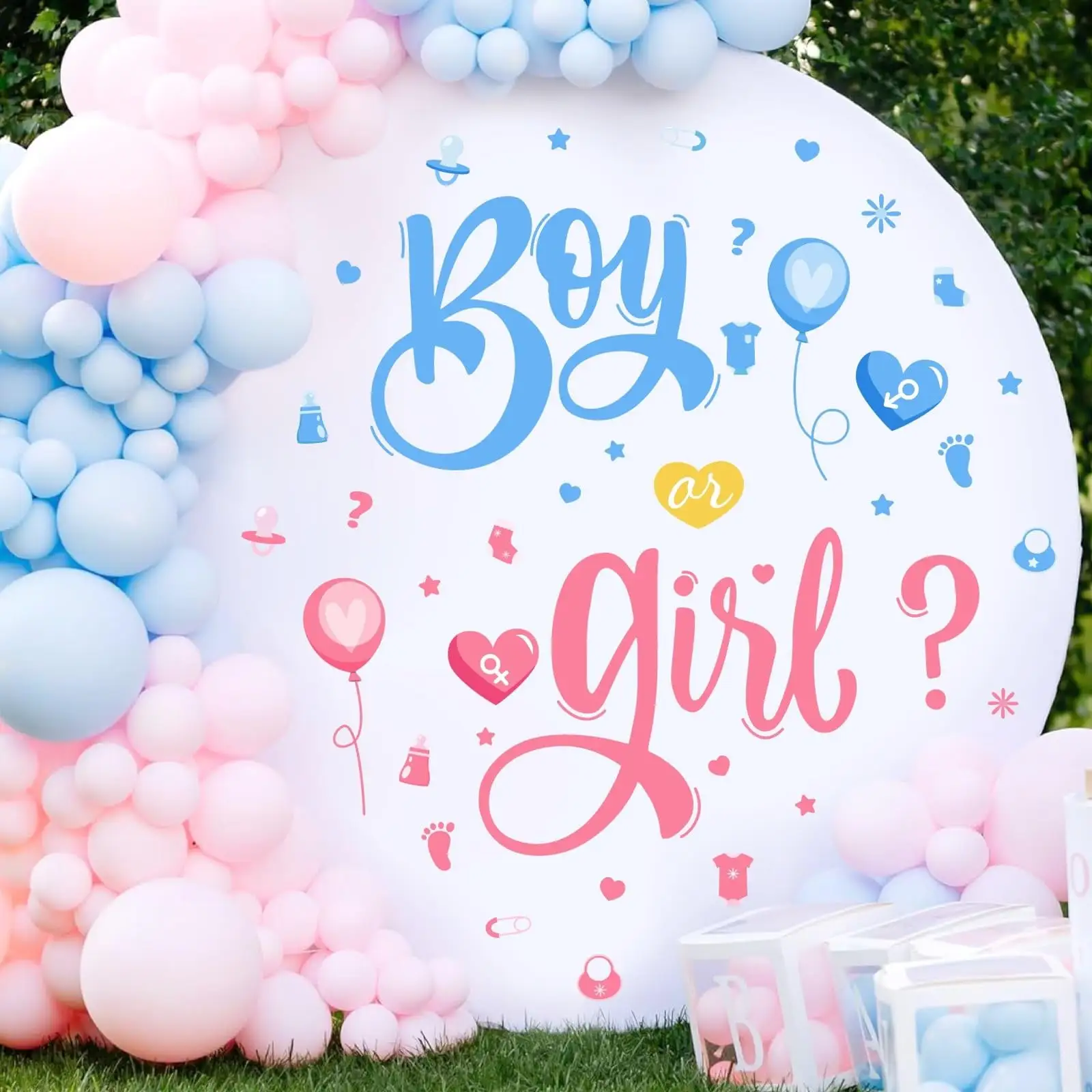 Gender Reveal